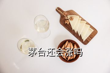 茅臺還會漲嗎