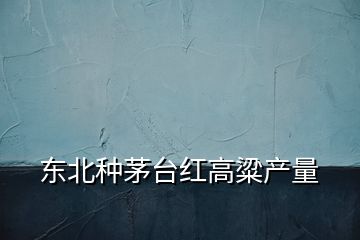 東北種茅臺(tái)紅高粱產(chǎn)量
