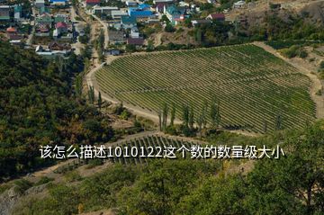 該怎么描述1010122這個(gè)數(shù)的數(shù)量級大小