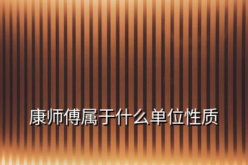 康師傅屬于什么單位性質