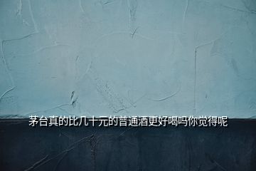 茅臺(tái)真的比幾十元的普通酒更好喝嗎你覺得呢