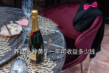 養(yǎng)10頭種黃牛一年可收益多少錢
