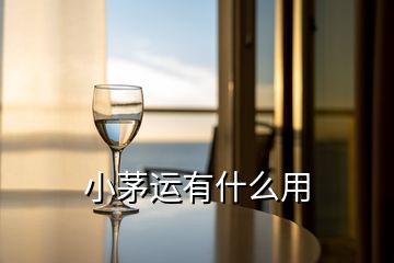 小茅運(yùn)有什么用