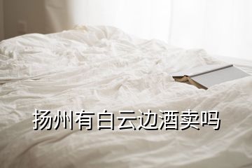 揚(yáng)州有白云邊酒賣(mài)嗎