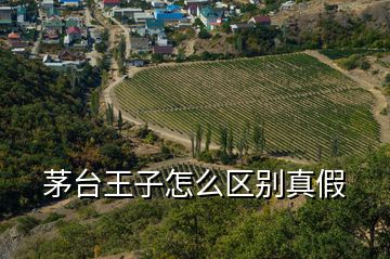 茅臺(tái)王子怎么區(qū)別真假