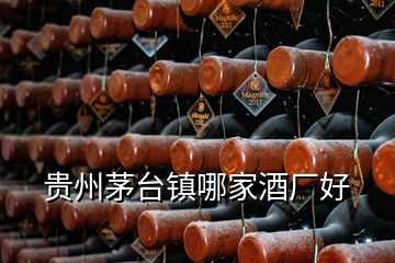 貴州茅臺(tái)鎮(zhèn)哪家酒廠好