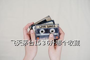飛天茅臺15 3 6升哪個收藏