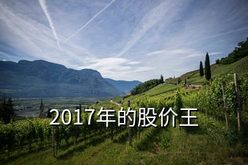 2017年的股價王