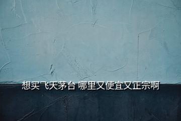 想買(mǎi)飛天茅臺(tái) 哪里又便宜又正宗啊