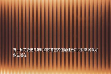 有一種花要用幾年時(shí)間積蓄營(yíng)養(yǎng)但是綻放后很快就凋零好像生活在