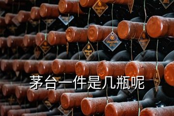 茅臺一件是幾瓶呢