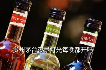 貴州茅臺(tái)夜景燈光每晚都開嗎