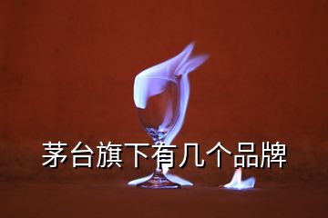 茅臺(tái)旗下有幾個(gè)品牌