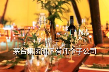 茅臺(tái)集團(tuán)旗下有幾個(gè)子公司