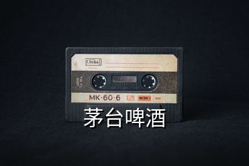茅臺(tái)啤酒