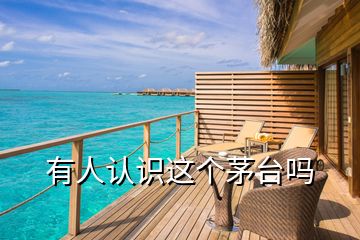 有人認識這個茅臺嗎