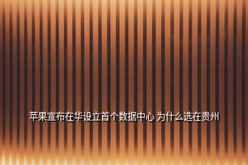蘋(píng)果宣布在華設(shè)立首個(gè)數(shù)據(jù)中心 為什么選在貴州