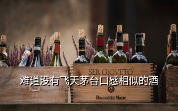 難道沒有飛天茅臺(tái)口感相似的酒