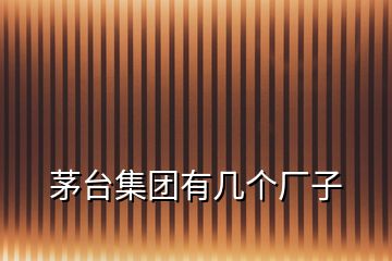 茅臺(tái)集團(tuán)有幾個(gè)廠子
