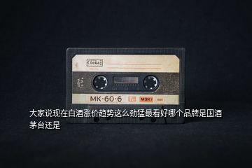 大家說現(xiàn)在白酒漲價(jià)趨勢(shì)這么勁猛最看好哪個(gè)品牌是國(guó)酒茅臺(tái)還是