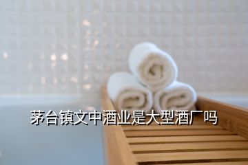 茅臺(tái)鎮(zhèn)文中酒業(yè)是大型酒廠(chǎng)嗎