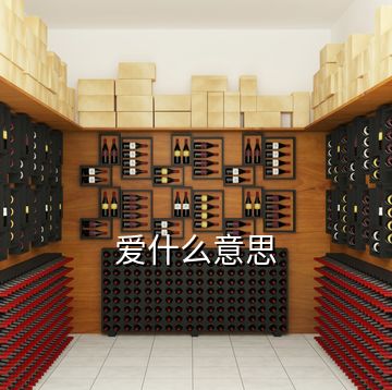 愛(ài)什么意思