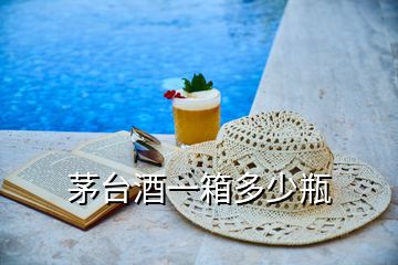 茅臺酒一箱多少瓶