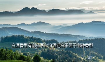 白酒香型有哪些茅臺汾酒老白干屬于哪種香型