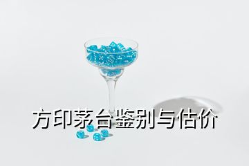 方印茅臺(tái)鑒別與估價(jià)