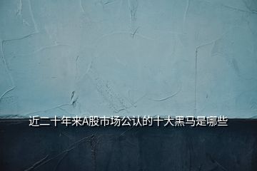 近二十年來A股市場公認的十大黑馬是哪些