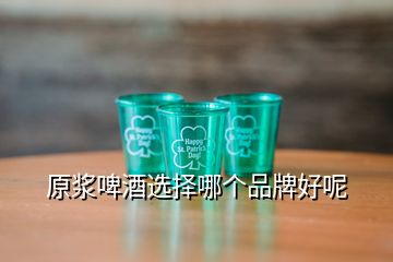 原漿啤酒選擇哪個(gè)品牌好呢