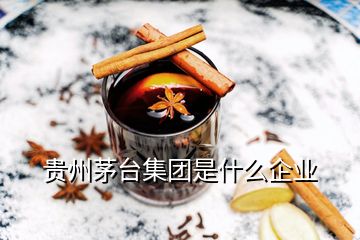 貴州茅臺(tái)集團(tuán)是什么企業(yè)