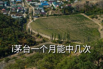i茅臺一個月能中幾次