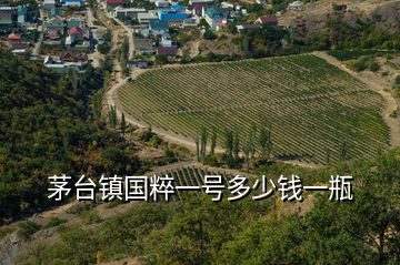 茅臺(tái)鎮(zhèn)國粹一號(hào)多少錢一瓶