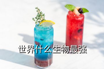 世界什么生物最強(qiáng)