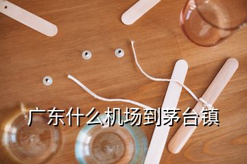 廣東什么機(jī)場到茅臺鎮(zhèn)