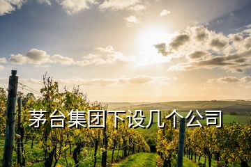 茅臺集團(tuán)下設(shè)幾個公司