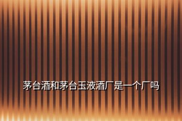 茅臺酒和茅臺玉液酒廠是一個廠嗎