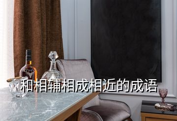 和相輔相成相近的成語(yǔ)