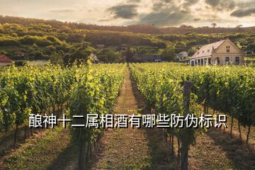 釀神十二屬相酒有哪些防偽標(biāo)識(shí)