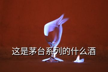 這是茅臺系列的什么酒