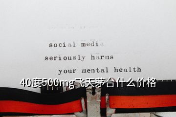 40度500mg飛天茅臺(tái)什么價(jià)格