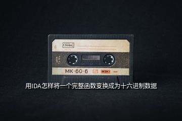 用IDA怎樣將一個(gè)完整函數(shù)變換成為十六進(jìn)制數(shù)據(jù)