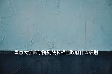 重點大學的學院副院長相當政府什么級別