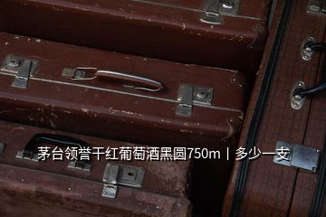 茅臺(tái)領(lǐng)譽(yù)干紅葡萄酒黑圓750m丨多少一支