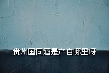 貴州國同酒是產(chǎn)自哪里呀