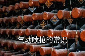 氣動(dòng)噴槍的常識(shí)