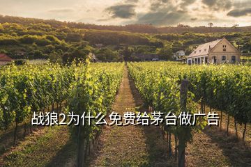 戰(zhàn)狼2為什么免費(fèi)給茅臺(tái)做廣告