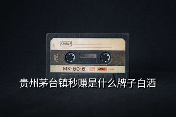 貴州茅臺(tái)鎮(zhèn)秒賺是什么牌子白酒
