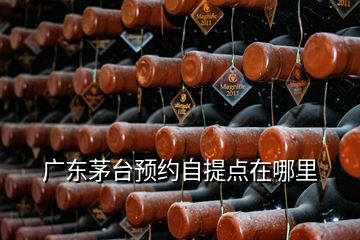 廣東茅臺(tái)預(yù)約自提點(diǎn)在哪里